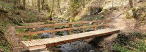 Bridge along a forest hiking path